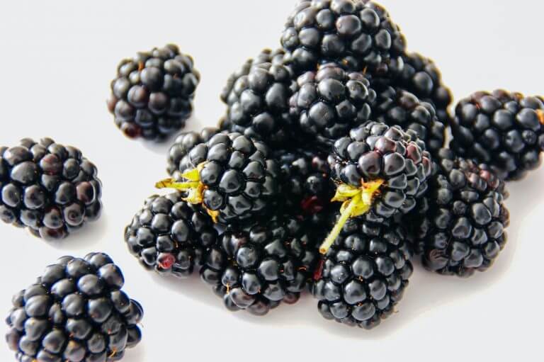 How to Grow Blackberries from Seeds to Fruit Garden Crafted