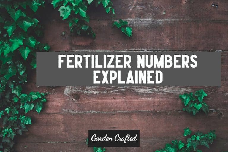 What Do The Numbers Mean On Fertilizer? NPK Ratio Explained Garden